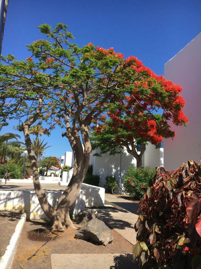 Los Barqueros Corralejo "Beach Front - Town Centre" Apartment ภายนอก รูปภาพ